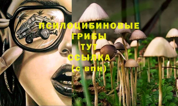 крисы Алексеевка
