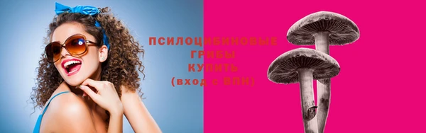 ALPHA PVP Алзамай