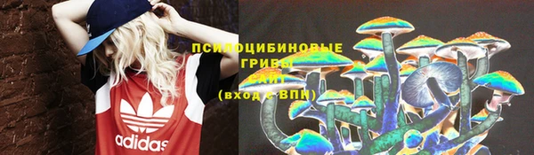 дмт Алексин