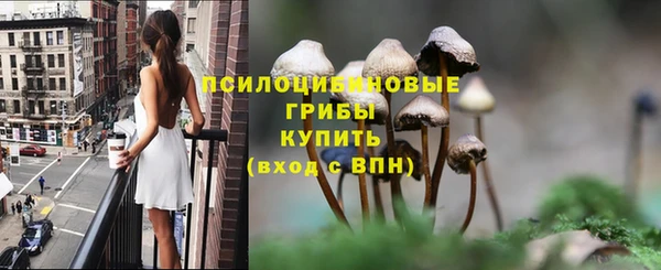 PSILOCYBIN Армянск