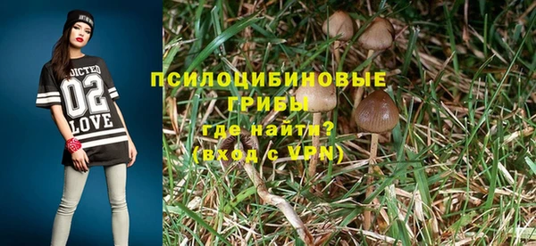 ALPHA PVP Алзамай