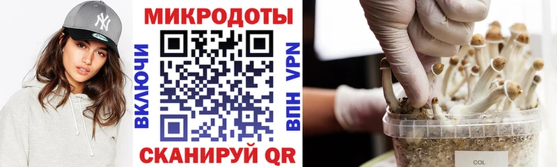 Псилоцибиновые грибы мицелий  Купить где  Куса 